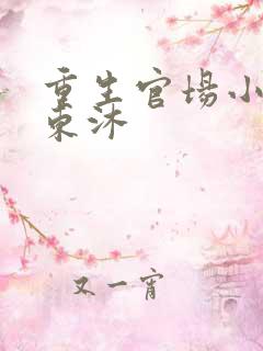 重生官场小说李东沐