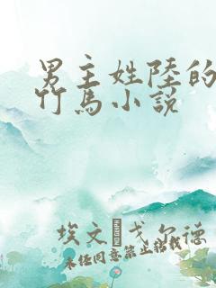 男主姓陆的青梅竹马小说