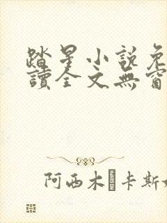 踏星小说免费阅读全文无窗口