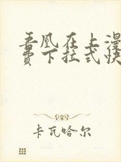 吾凰在上漫画免费下拉式快看漫画