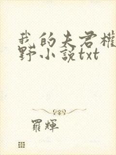 我的夫君权倾朝野小说txt