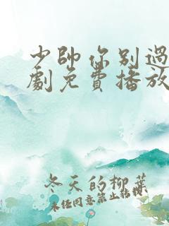 少帅你别过分短剧免费播放在线观看