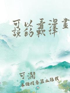 可以看漫画看小说的软件