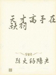 天才高手在都市秋羽