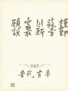 顾云川苏槿月小说最新章节免费阅读