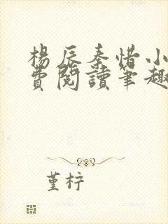 杨辰秦惜小说免费阅读笔趣阁全文