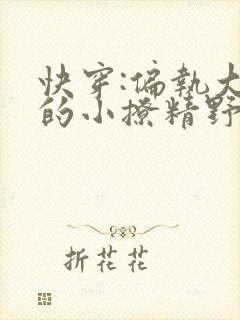 快穿:偏执大佬的小撩精野翻了txt全本