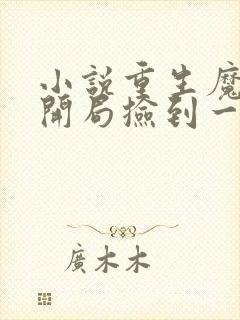 小说重生魔修,开局捡到一颗丧尸星球更新