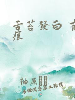 舌苔发白 有齿痕