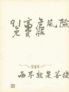 9.1高危风险免费版