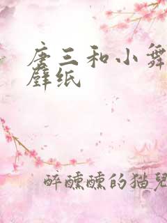 唐三和小舞合照壁纸