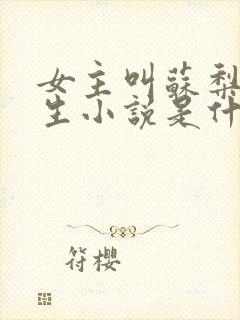 女主叫苏梨的重生小说是什么