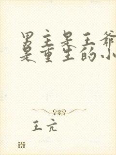 男主是王爷女主是重生的小说