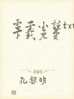 电子小说txt下载免费