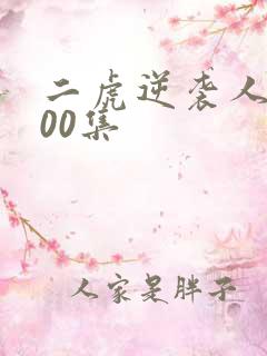 二虎逆袭人生100集