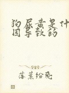 狗尿黄是什么原因导致的