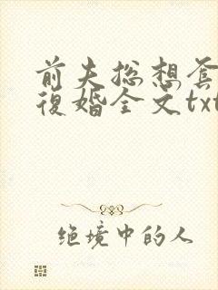 前夫总想套路我复婚全文txt下载