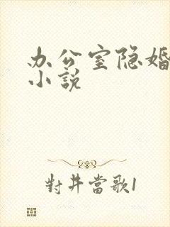 办公室隐婚免费小说