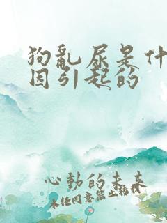 狗乱尿是什么原因引起的