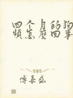 四个月的狗狗尿频怎么回事