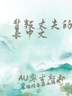 背叛丈夫的女社长中文