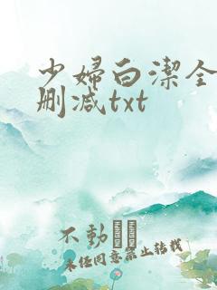 少妇白洁全文无删减txt