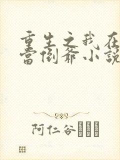 重生之我在末世当倒爷小说