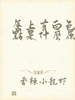 唇上有白色颗粒点是什么原因