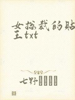 女总裁的贴身兵王txt