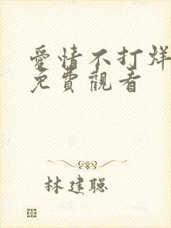 爱情不打烊短剧免费观看