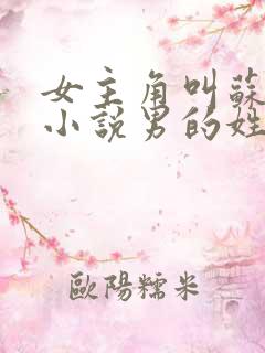 女主角叫苏颜的小说男的姓顾