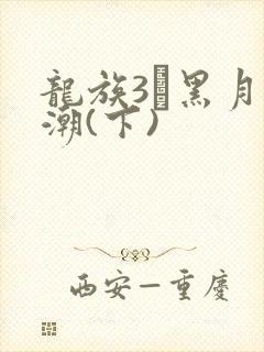 龙族3·黑月之潮(下)