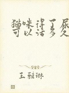 猫咪得了尿闭症可以活多久