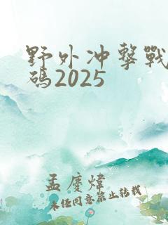 野外冲击战兑换码2025