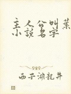 主人公叫叶帆的小说名字