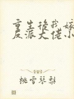 重生后我嫁给了反派大佬小说