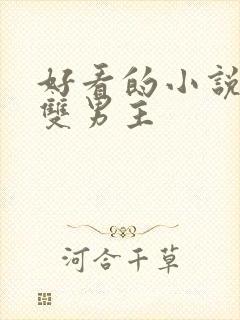 好看的小说推荐双男主