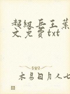 超级兵王叶谦全文免费txt