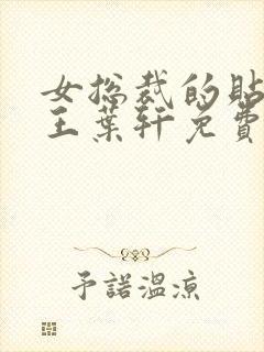 女总裁的贴身兵王叶轩免费阅读