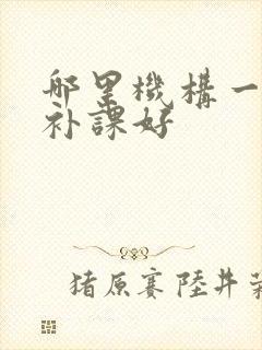 哪里机构一对一补课好