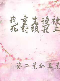 我重生后被渣男死对头宠上天