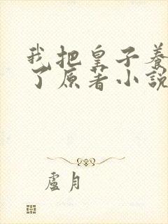 我把皇子养黑化了原著小说叫啥名