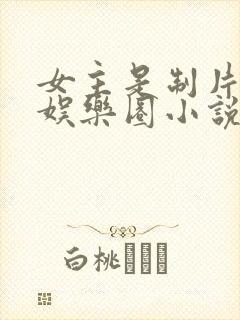 女主是制片人的娱乐圈小说