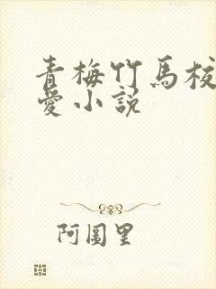 青梅竹马校园恋爱小说