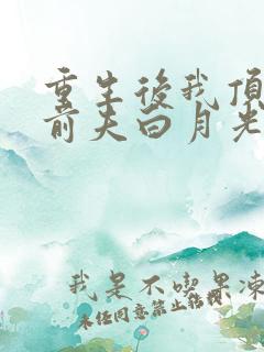 重生后我顶替了前夫白月光 第627章