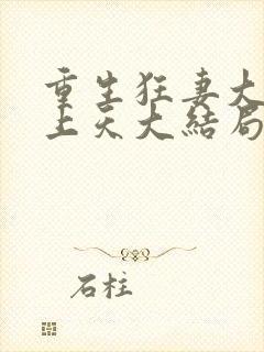 重生狂妻大佬宠上天大结局