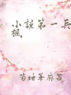 小说第一兵王于枫