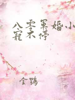 八零军婚小甜妻宠不停