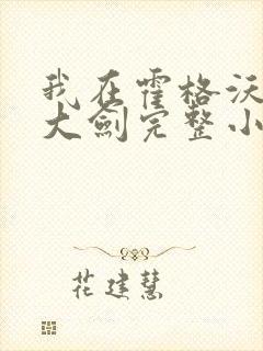 我在霍格沃茨抡大剑完整小说