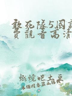 敢死队5国语免费观看高清完整版